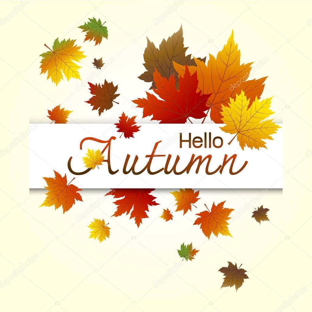 Vector hello autumn maple leaves design