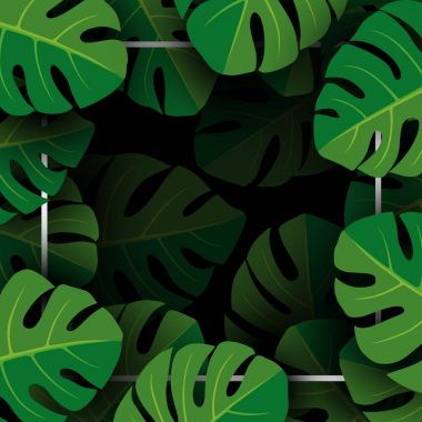 Monstera deliciosa tropikal arka plan kopya alanı vektör çizim ile bırakır.
