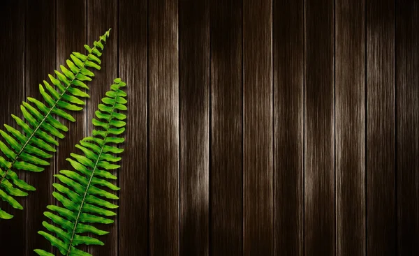 Boston fern verlaat op hout achtergrond met kopie ruimte — Stockfoto