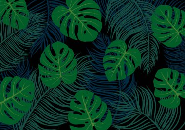 Palmiye ve monstera deliciosa siyah arka plan vektör çizim üzerinde bırakır