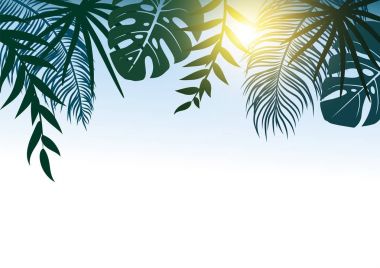 Güneş ışığı vektör çizim ile tropikal yaz konsept tasarımı bırakır
