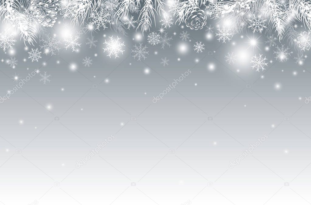 Christmas background design of pine leaves in the winter vector illustration