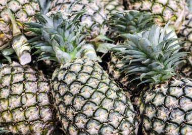 Ananas doku arka kapatmak