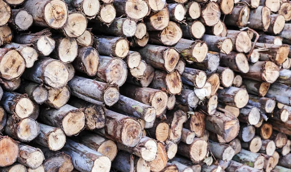 odun yığını arka günlüğe kaydeder.