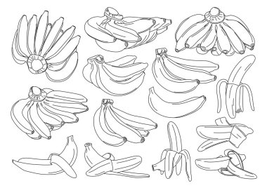 Beyaz arkaplan vektör resimlemesinde muz izole