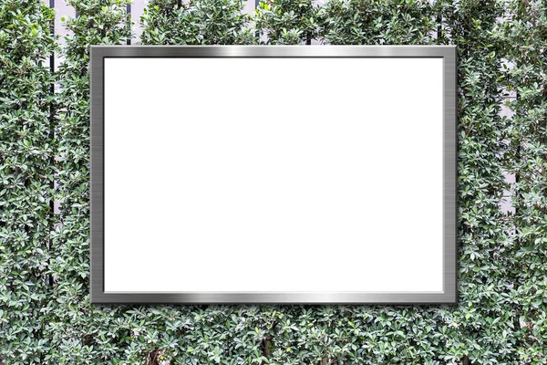 Blank outdoor em folhas verdes fundo textura da parede — Fotografia de Stock