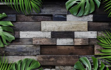 Monstera deliciosa ve sarı palm tropikal eski ahşap arka plan üzerinde bırakır