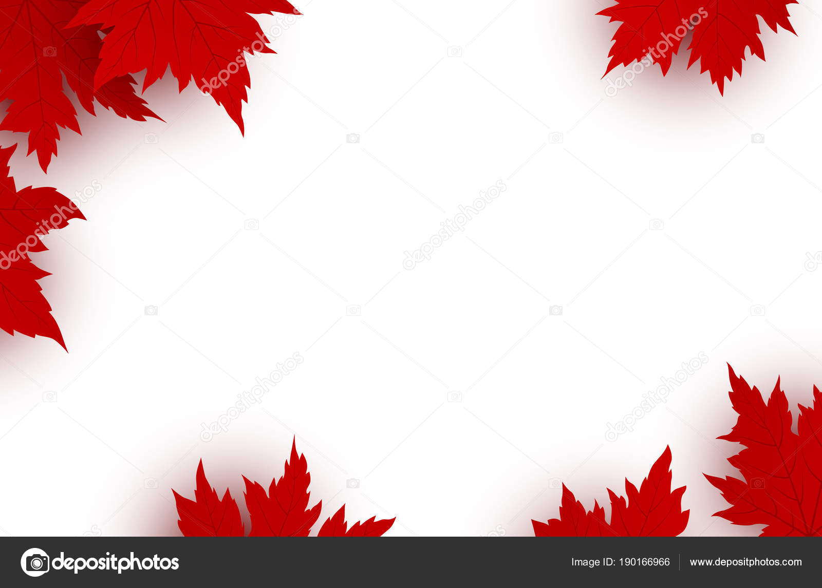 Canada day background design of red maple leaves isolated on white