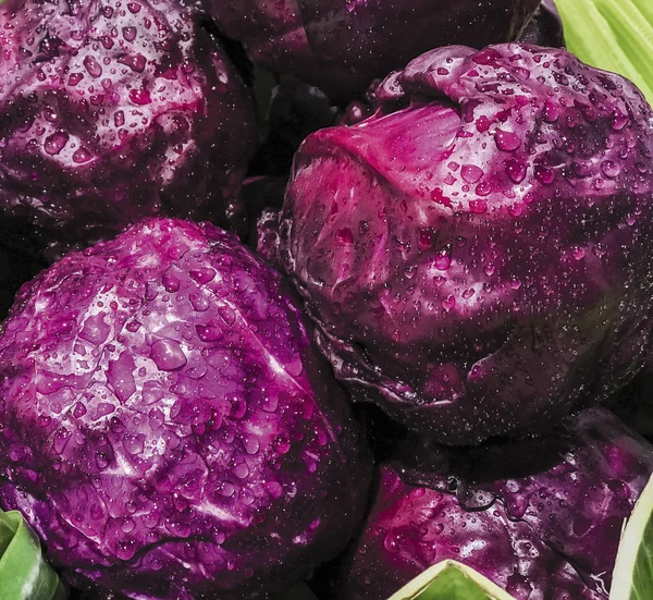 Purple cabbage with water drop in the market — Stock Photo, Image