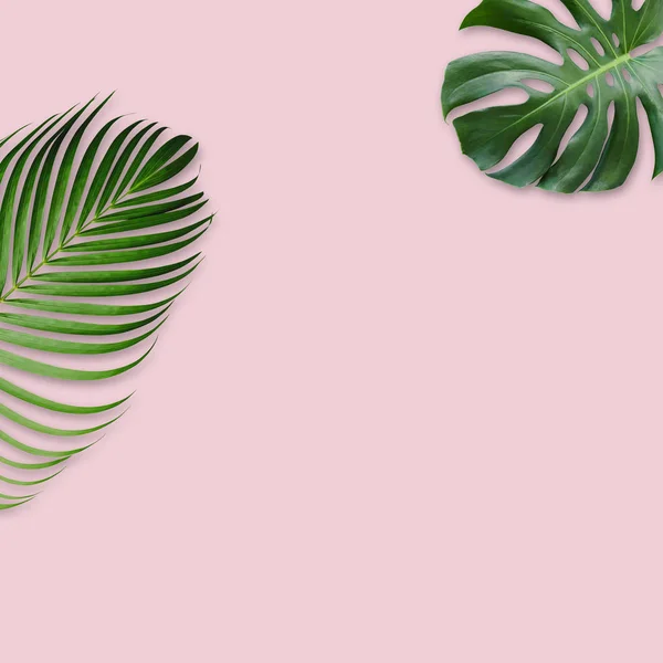 Gröna Tropiska Löv Rosa Bakgrund Med Kopia Utrymme Minimal Design — Stockfoto