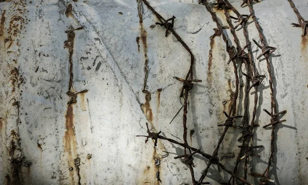 Stacheldraht auf Grunge-Metall-Hintergrund — Stockfoto