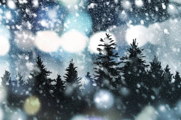 Zima i Boże Narodzenie projekt tła sosny i śniegu spada — Zdjęcie stockowe