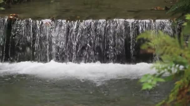 Small waterfall at autumn — Stock Video