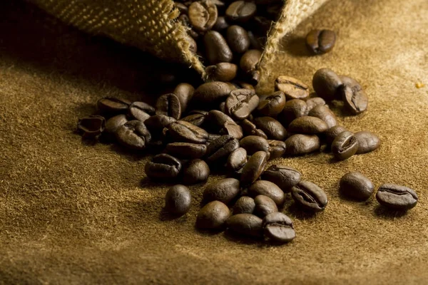 Coffee seeds in dark light