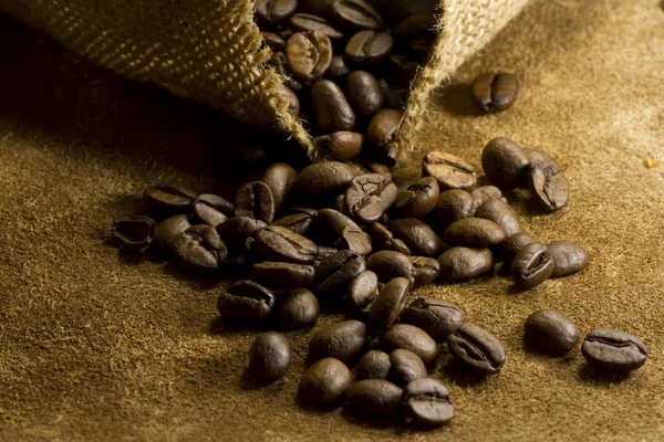 Kawy nasiona w ciemne światło — Zdjęcie stockowe