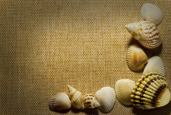 Conchiglie di mare sullo sfondo di iuta — Foto Stock