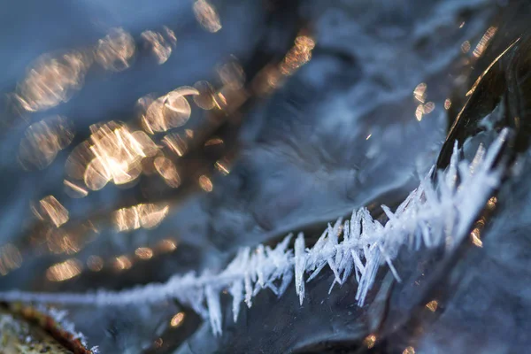 Telaraña cubierta con escarcha en el hielo, agua congelada — Foto de Stock