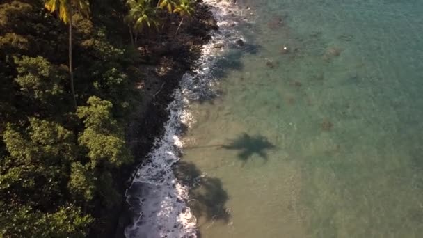 Prachtige Drone Video Van Geweldig Zwart Zandstrand Genaamd Anse Couleuvre — Stockvideo