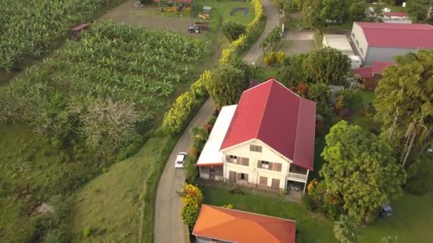 Vezető Autó Martinique Szigeten Francia Karib Szigetek — Stock videók