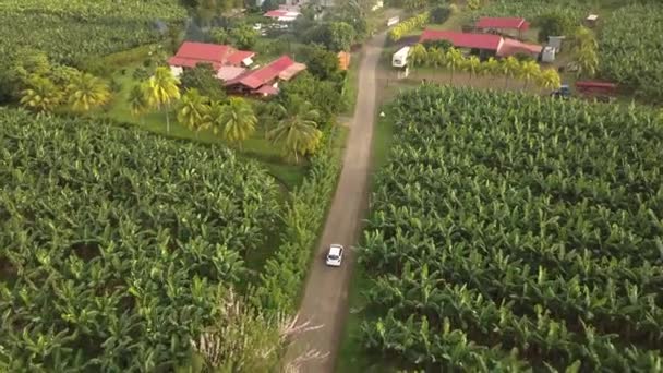Εναέρια Drone Πλάνα Από Αυτοκίνητο Που Οδηγεί Στο Δρόμο Στο — Αρχείο Βίντεο