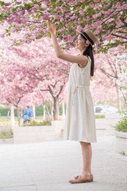 Asyalı kız güzel kiraz çiçeklerine hayran, bahar