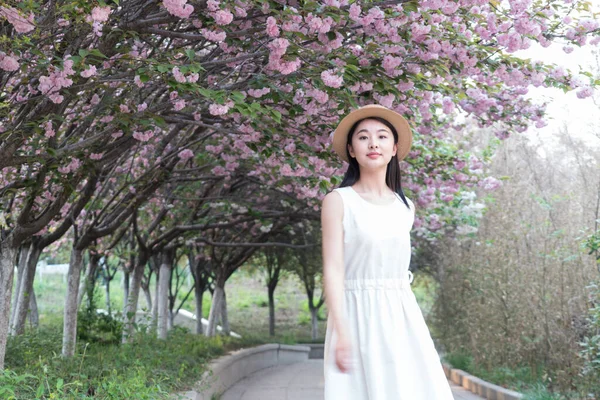 Asian Girl Admiring Beautiful Cherry Blossoms Spring — Stock Photo, Image