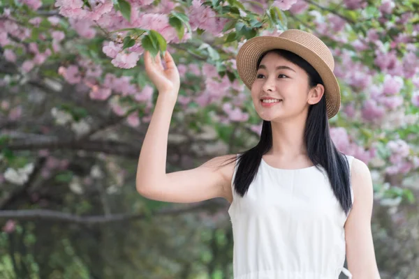 Chica Asiática Admirando Hermosas Flores Cerezo Primavera — Foto de Stock