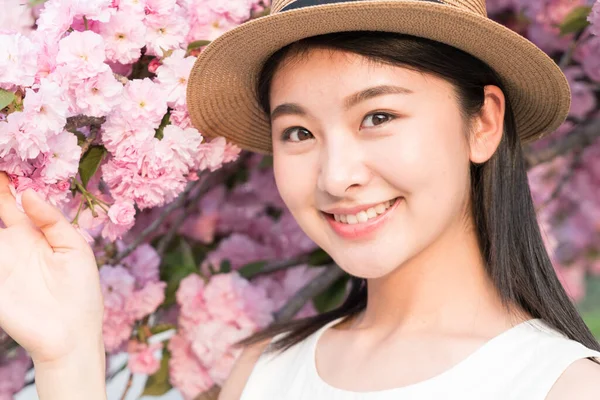 Asiatico Ragazza Ammirando Bello Ciliegio Fiori Primavera — Foto Stock