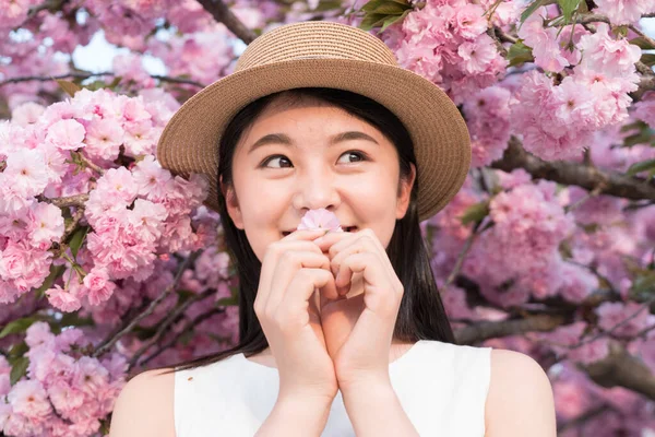 Asyalı Kız Güzel Kiraz Çiçeklerine Hayran Bahar — Stok fotoğraf