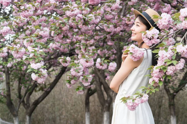 Chica Asiática Admirando Hermosas Flores Cerezo Primavera —  Fotos de Stock