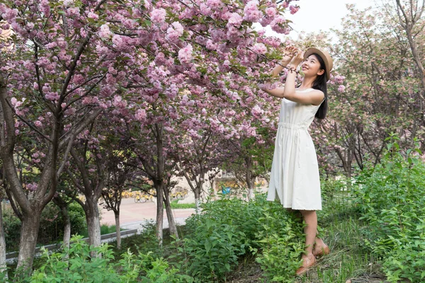 Menina Asiática Admirando Belas Flores Cereja Primavera — Fotografia de Stock