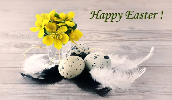 Decoración de Pascua, huevos de Pascua, nido . — Foto de Stock