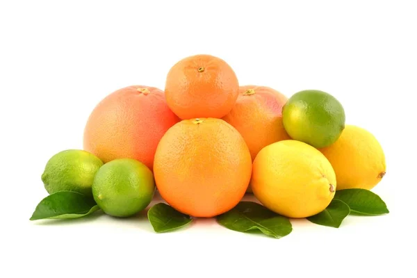 Citrusvruchten op wit. — Stockfoto