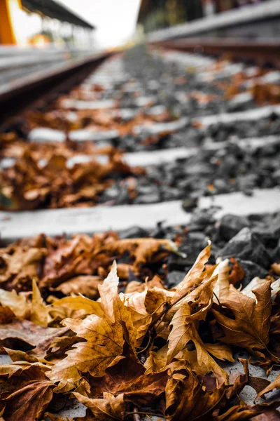 Autumn Leaves at Railway Station — Stock Photo, Image