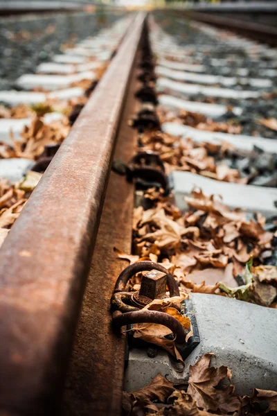 Detail einer alten Eisenbahnstrecke mit Herbstblättern — Stockfoto