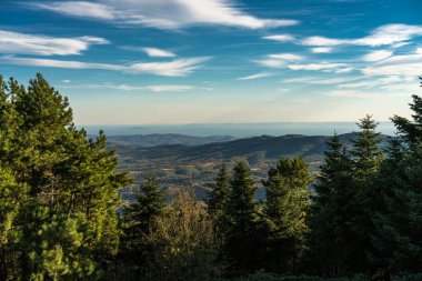 Orman manzara, Taxiarhis, Polygyros, Chalkidiki, Yunanistan