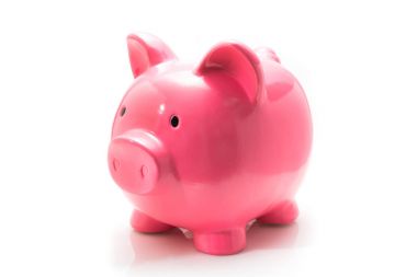 Sevimli pembe para domuzcuk, stüdyo çekim