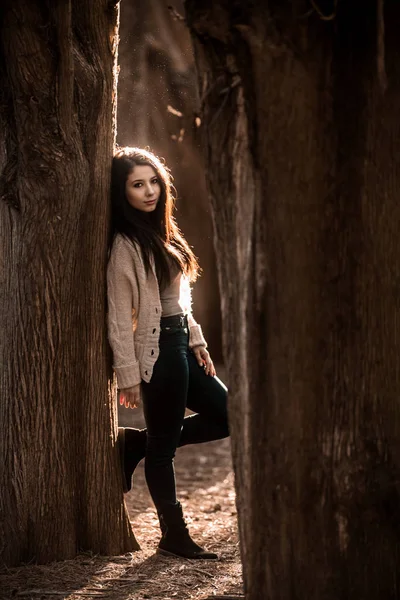 Schöne geheimnisvolle Frau posiert im Wald, alter klassischer Stall — Stockfoto