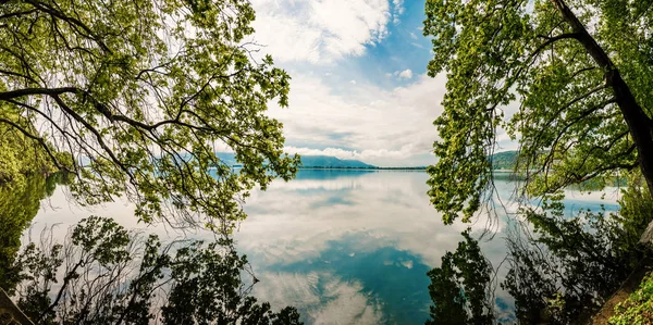 Mooie natuur scène Lake met bomen raken het water — Stockfoto