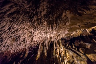 Milyonlarca yıl eski mineral oluşumu olarak bilinen bir mağara tavanda 