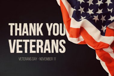 Veterans day background  clipart