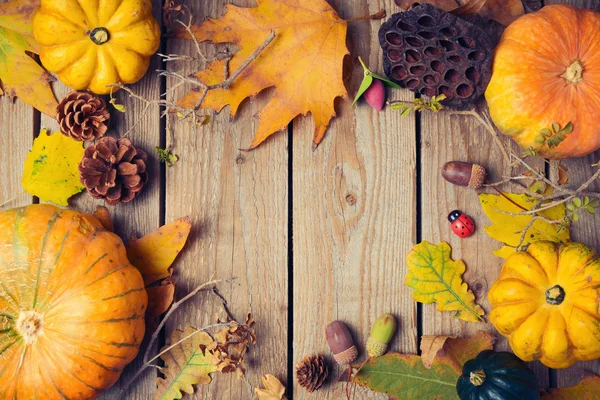 Thanksgiving dinner background — Stock Photo, Image