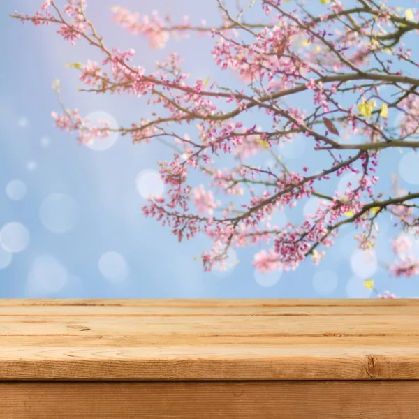 Tabela na niewyraźne drzewa wiosną — Zdjęcie stockowe