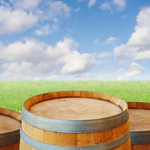 Wooden barrels over green grass meadow — Stock Photo, Image