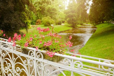 yaz parkı geçmişi 