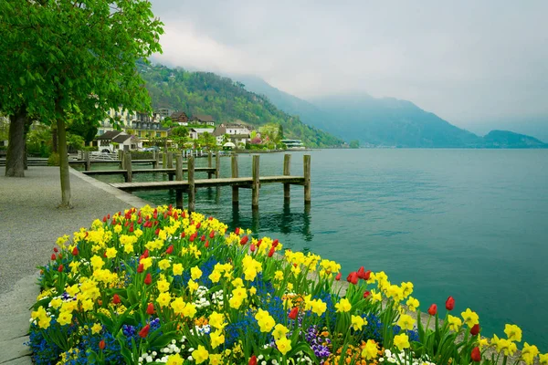 Luzerner See, Schweiz — Stockfoto