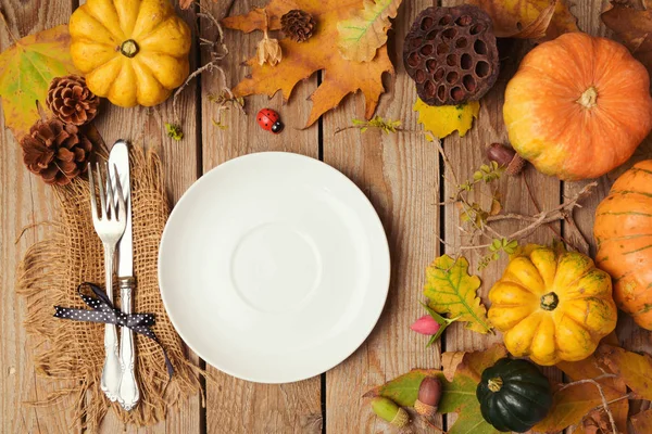 Autumn background with plate — Stock Photo, Image