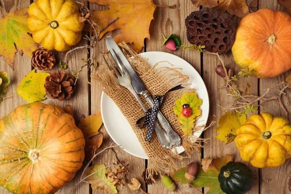 Autumn background with plate, — Stock Photo, Image