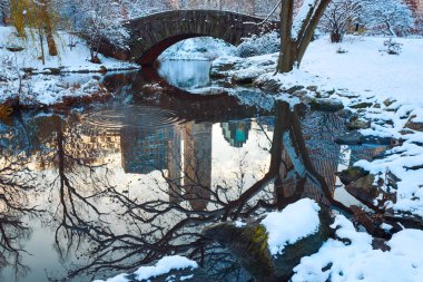 Central Park. New York. 