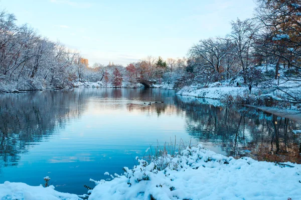 Central Park. New York. . — Foto Stock